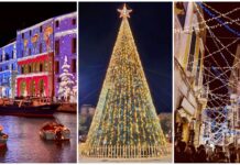 Monopoli, Natale non solo in piazza: così brilla la cittÃ