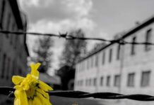 Monopoli, Giornata della Memoria: iniziativa nel pomeriggio in Rendella