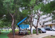 Monopoli, 4mila nidi di processionaria rimossi in un mese. Intervento da 70mila euro