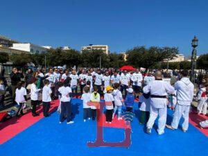 TAEKWONDO 1