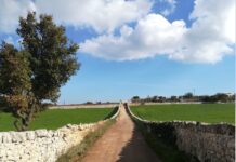 Storia del territorio e delle contrade di Monopoli, una conferenza al Museo Diocesano
