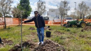 albero nato