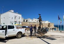 Monopoli, smantellata l’area verde alla Portavecchia. Al via i prelievi dei campioni di suolo: come si trasformerÃ