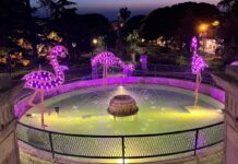 Fenicotteri, meduse, lanterne: Conversano si accende sul far della sera con Lumen Light Fest