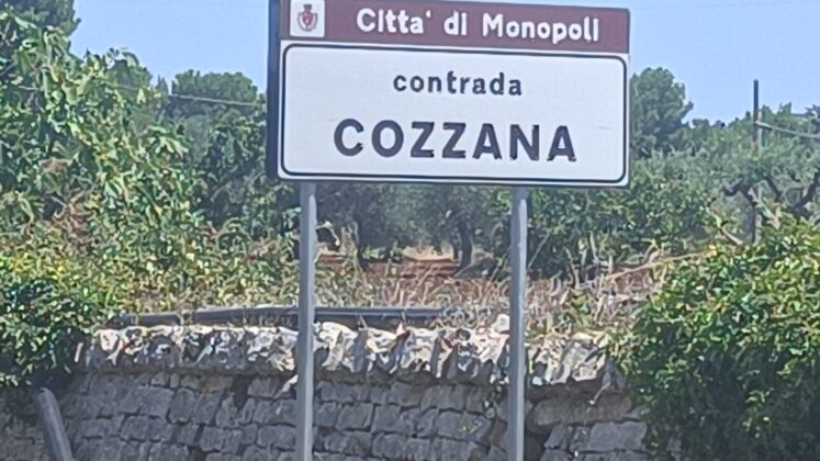 cozzana2