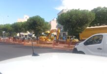 Monopoli, tornano gli alberi in via Procaccia e in viale Aldo Moro: gelsi, melie e ligustri al posto dei pini