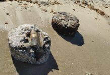 Fusti in riva al mare al Capitolo, oggi l’accertamento del nucleo antidegrado della Polizia Locale