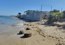 Monopoli, fusti sulla spiaggia. Legambiente: “Segnalati da un anno, ma ancora lì”