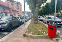 Monopoli, occhio alle deiezioni canine. Accertamenti in abiti civili della Polizia Locale e sanzioni