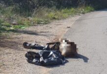 Monopoli, cinghiale chiuso in una busta e abbandonato in strada: segnalazione per rimuovere la carcassa