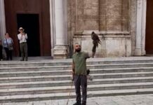 Monopoli, bilancio piccioni dopo 9 mesi di falchi e poiane. Obiettivo: -70% guano