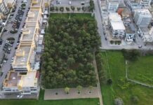 Monopoli, un’area verde in zona nord: 200mila euro per luci, giochi, area pic-nic, area dog e videosorveglianza