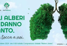 Monopoli, Legambiente: “Le città verdi il sogno di tutti: il 21 novembre la festa dell’albero”