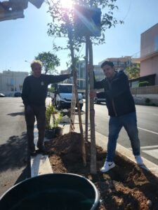 alberi iaia