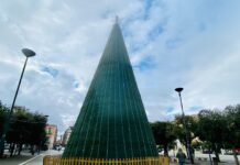 Monopoli, Disney parade, danza aerea e cabaret: il 7 dicembre si accende l’albero con Antonio Stornaiolo
