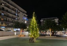 Monopoli, ecco l’albero acceso in piazza Falcone e Borsellino. Renna: “Posizionarlo lì un atto simbolico”