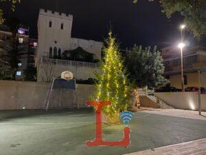 albero piazza roma1