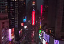 Il Natale di Bari sul grattacielo di Manhattan, così la Puglia illumina Times Square