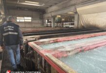 Monopoli, stabilimento industriale “insalubre”: sequestro preventivo di un’area di 10mila metri quadri in periferia