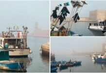 Monopoli, una nebbia da film inaugura il nuovo anno. Il porto antico immerso nel bianco
