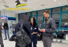 Traffico illecito di cuccioli, fermato passeggero proveniente da Mosca: sequestrati 6 cani con passaporti falsificati