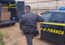 GdF Monopoli, scoperta vendita illecita di cannabis: sequestrati 610Kg di marijuana. Indagati 2 coltivatori