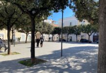 Monopoli, “non fu massacro” in piazza Manzoni, assolti due netturbini