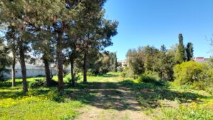 PARCO URBANO 18 03 2025 01