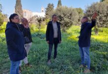Monopoli, un nuovo polmone verde: si inaugura il parco urbano di via Vecchia Sant’Antonio