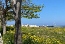 Elezioni regionali, a Monopoli “Costruiamo il programma”. Focus su costa, turismo e urbanistica