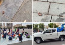 Monopoli, piazza con blatte in pieno giorno. Brescia sollecita, Laneve risponde