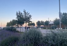 “Monopoli ha davanti a sè una scelta: subire il cambiamento o guidarlo”