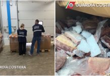 Monopoli, pesce spada congelato senza tracciabilità: maxi sequestro e sanzione per un grossista