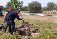Monopoli, 50 alberi per 257 bambini: in via Giacinto Antonelli il “Giardino dei nuovi nati” nel 2025