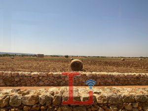campagna fieno