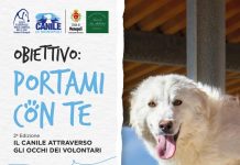 Monopoli, “Obiettivo: portami con te”: al via la mostra per conoscere il mondo dei canili
