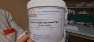 cannabis