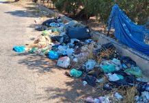 Monopoli, strade come discariche. FdI a Leccese: “Urgenza di interventi tempestivi, controlli più capillari e sanzioni immediate per i trasgressori”