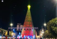 Monopoli verso il Natale: luminarie, albero ed eventi. Luci accese da fine novembre