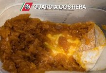 Si sente male dopo aver mangiato al ristorante e finisce in ospedale, sotto sequestro mezzo quintale di prodotti non tracciati