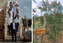 Monholiday adotta un giardino di 50 ulivi con “Olivami”: radici per la comunità e ospitalità sostenibile
