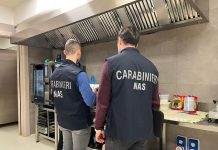 Ristorante infestato da blatte, attività sospesa dai Nas