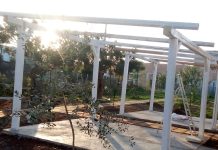 Monopoli, un “Giardino del cuore” per i nonni: evento benefico il 9 novembre