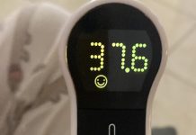 Virus Chikungunya, 2 casi: trappole per catturare la zanzara tigre. Scattate misure di prevenzione e monitoraggio