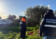 Monopoli, “cimitero” di estintori abbandonati. Guardia Costiera sulle tracce dei responsabili