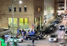 Monopoli, gatto sbranato in via Lepanto. Indagini in corso. I residenti: “Era la nostra mascotte”
