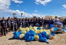 Monopoli, abbandona rifiuti, lo multano e gli sospendono la patente. Plastic Free: “Il tempo dell’impunità è finito”