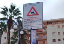 Colonie feline a Monopoli: mappatura, segnaletica e proposta di un’oasi per i gatti
