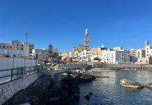 Portavecchia, “Mancanza di risposte a domande precise: tempi, ponte di collegamento, variante? Niente”
