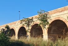 Ponte di Viale Aldo Moro, Pd di Monopoli: “Il patrimonio esistente si sbriciola sotto il peso dell’indifferenza di chi dovrebbe vigilarlo”
